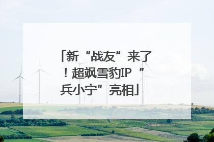 新“战友”来了！超飒雪豹IP“兵小宁”亮相
