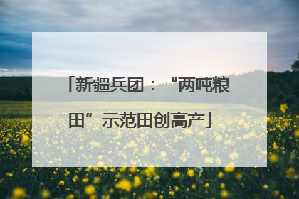 新疆兵团：“两吨粮田”示范田创高产