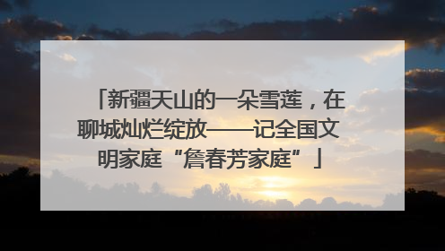 新疆天山的一朵雪莲，在聊城灿烂绽放——记全国文明家庭“詹春芳家庭”
