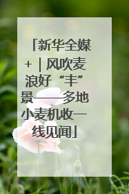 新华全媒+｜风吹麦浪好“丰”景——多地小麦机收一线见闻