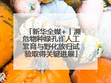 新华全媒+丨濒危物种绿孔雀人工繁育与野化放归试验取得关键进展