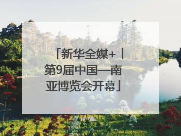 新华全媒+丨第9届中国—南亚博览会开幕