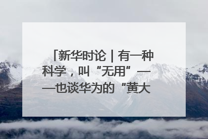 新华时论｜有一种科学，叫“无用”——也谈华为的“黄大年茶思屋”