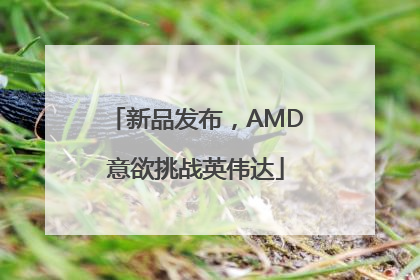 新品发布，AMD意欲挑战英伟达