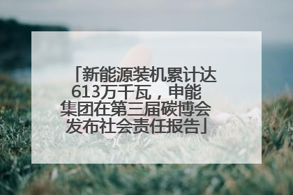 新能源装机累计达613万千瓦，申能集团在第三届碳博会发布社会责任报告