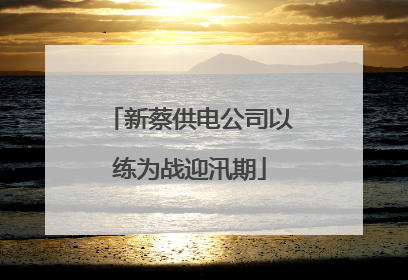 新蔡供电公司以练为战迎汛期