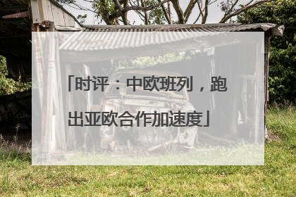 时评：中欧班列，跑出亚欧合作加速度