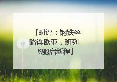时评：钢铁丝路连欧亚，班列飞驰启新程