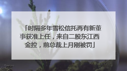 时隔多年雪松信托再有新董事获准上任，来自二股东江西金控，前总裁上月刚被罚