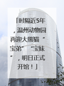 时隔近5年，温州动物园再迎大熊猫“宝弟”“宝妹”，明日正式开馆！
