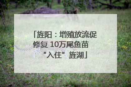 旌阳：增殖放流促修复 10万尾鱼苗“入住”旌湖