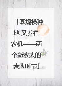 既规模种地 又养着农机——两个新农人的麦收时节