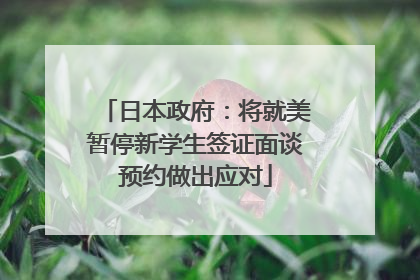 日本政府：将就美暂停新学生签证面谈预约做出应对