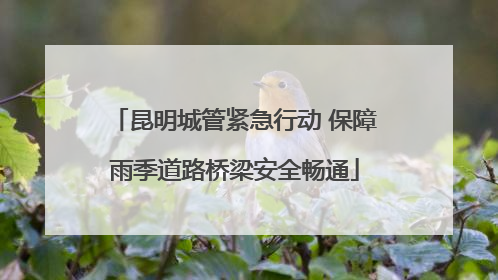 昆明城管紧急行动 保障雨季道路桥梁安全畅通