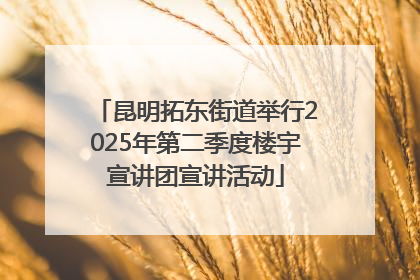昆明拓东街道举行2025年第二季度楼宇宣讲团宣讲活动