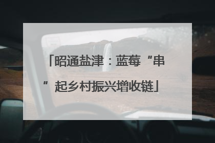 昭通盐津：蓝莓“串”起乡村振兴增收链