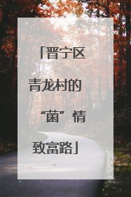 晋宁区青龙村的“菌”情致富路
