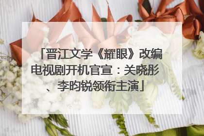 晋江文学《耀眼》改编电视剧开机官宣：关晓彤、李昀锐领衔主演