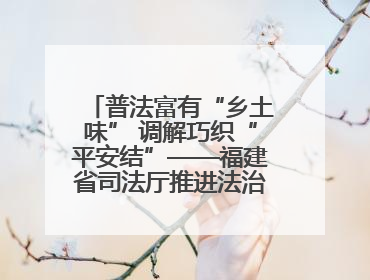 普法富有“乡土味” 调解巧织“平安结”——福建省司法厅推进法治乡村建设出成效