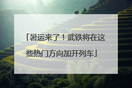 暑运来了！武铁将在这些热门方向加开列车