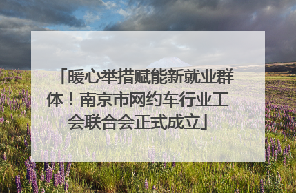 暖心举措赋能新就业群体！南京市网约车行业工会联合会正式成立