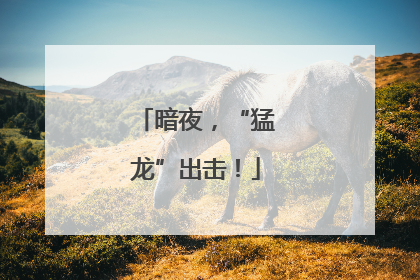 暗夜，“猛龙”出击！