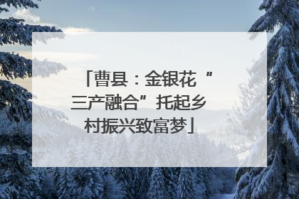 曹县：金银花“三产融合”托起乡村振兴致富梦