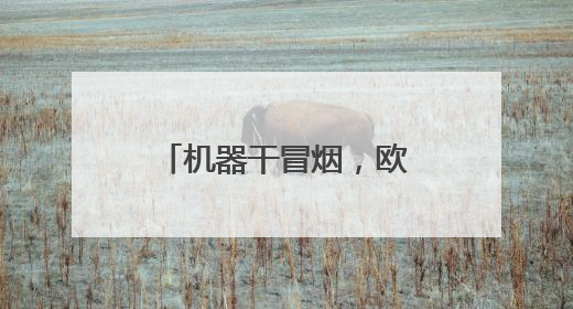 机器干冒烟，欧美订单排到半年后，这个国产“益生菌”真硬核超车