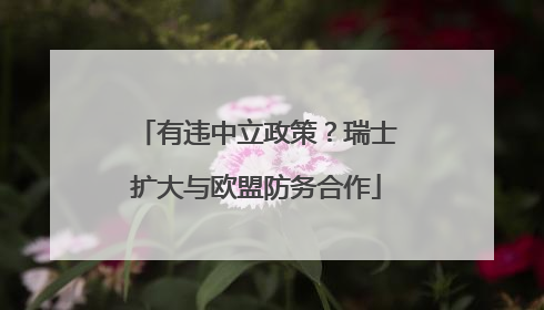 有违中立政策？瑞士扩大与欧盟防务合作