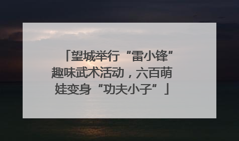 望城举行“雷小锋”趣味武术活动，六百萌娃变身“功夫小子”