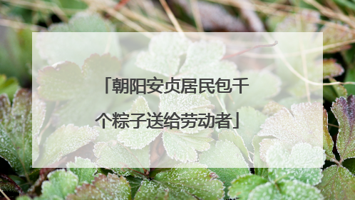 朝阳安贞居民包千个粽子送给劳动者
