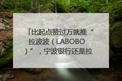 比起点赞过万就推“拉波波（LABOBO）”，宁波银行还是拉业绩吧｜财经辣评