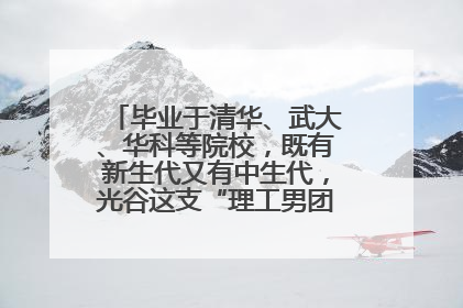 毕业于清华、武大、华科等院校，既有新生代又有中生代，光谷这支“理工男团”为何“出道”？