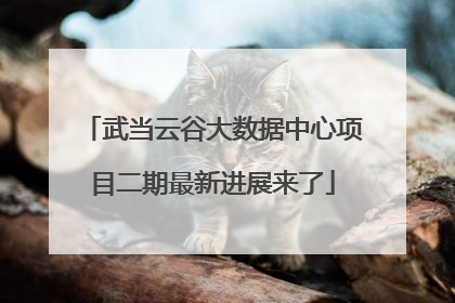 武当云谷大数据中心项目二期最新进展来了