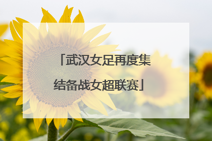 武汉女足再度集结备战女超联赛