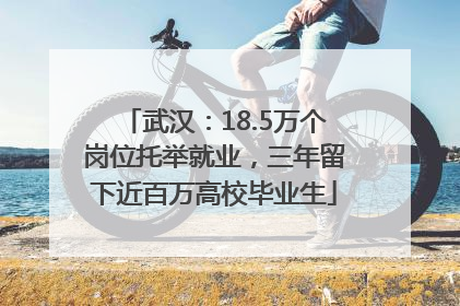 武汉：18.5万个岗位托举就业，三年留下近百万高校毕业生