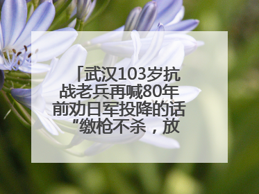 武汉103岁抗战老兵再喊80年前劝日军投降的话 “缴枪不杀，放你回家”