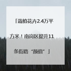 栽植花卉2.4万平方米！南岗区提升11条街路“颜值”