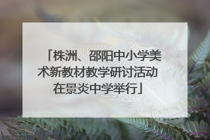 株洲、邵阳中小学美术新教材教学研讨活动在景炎中学举行