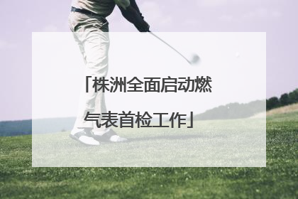 株洲全面启动燃气表首检工作