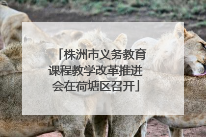 株洲市义务教育课程教学改革推进会在荷塘区召开