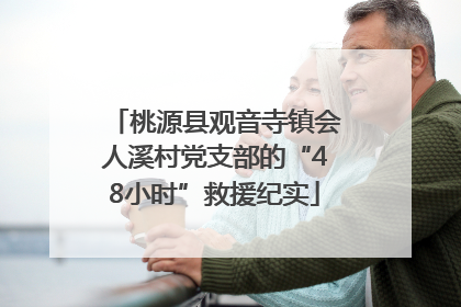 桃源县观音寺镇会人溪村党支部的“48小时”救援纪实