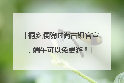 桐乡濮院时尚古镇官宣，端午可以免费游！