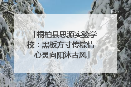 桐柏县思源实验学校：黑板方寸传粽情 心灵向阳沐古风