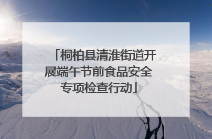 桐柏县清淮街道开展端午节前食品安全专项检查行动
