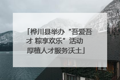 桦川县举办“吾爱吾才 粽享欢乐”活动 厚植人才服务沃土
