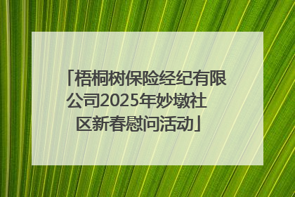 梧桐树保险经纪有限公司2025年妙墩社区新春慰问活动