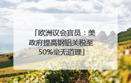 欧洲议会官员：美政府提高钢铝关税至50%毫无道理
