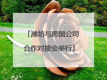 潍坊与跨国公司合作对接会举行