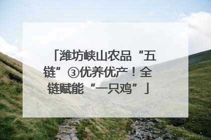 潍坊峡山农品“五链”③优养优产！全链赋能“一只鸡”